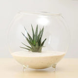 Ball Shaped Glass Flower Vintage Vase