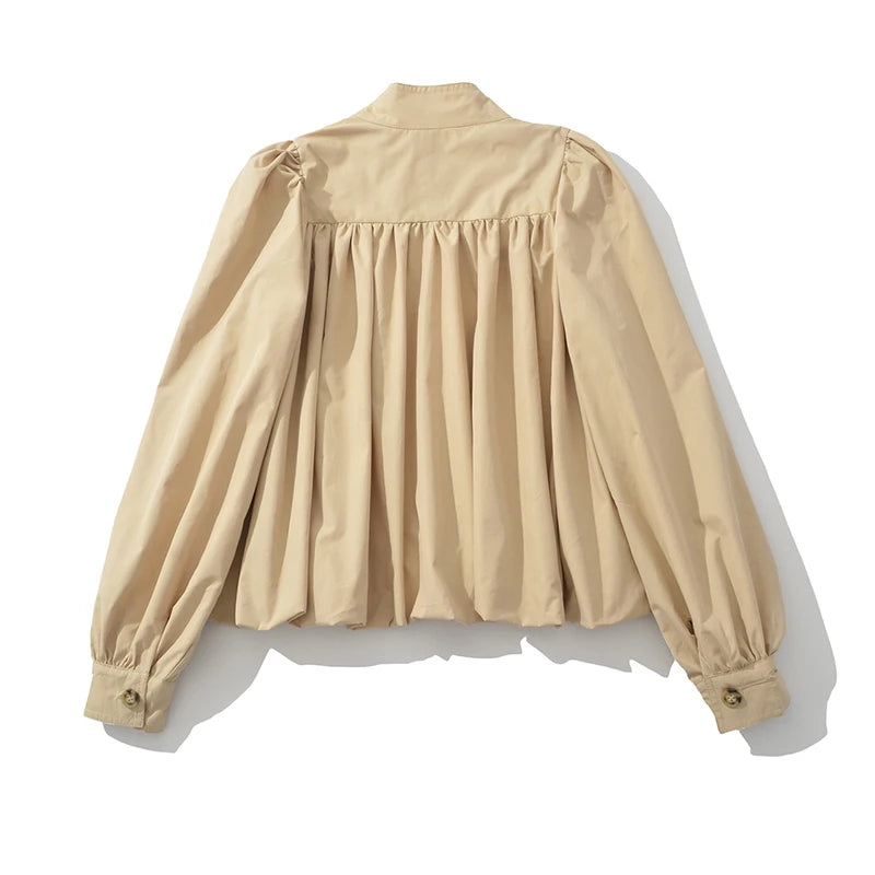 Elegant Style Pleated Shirt For Women