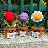 Crochet Handmade Knitted Tulip Flowers