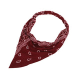 Summer Concert Paisley Elastic Headbands