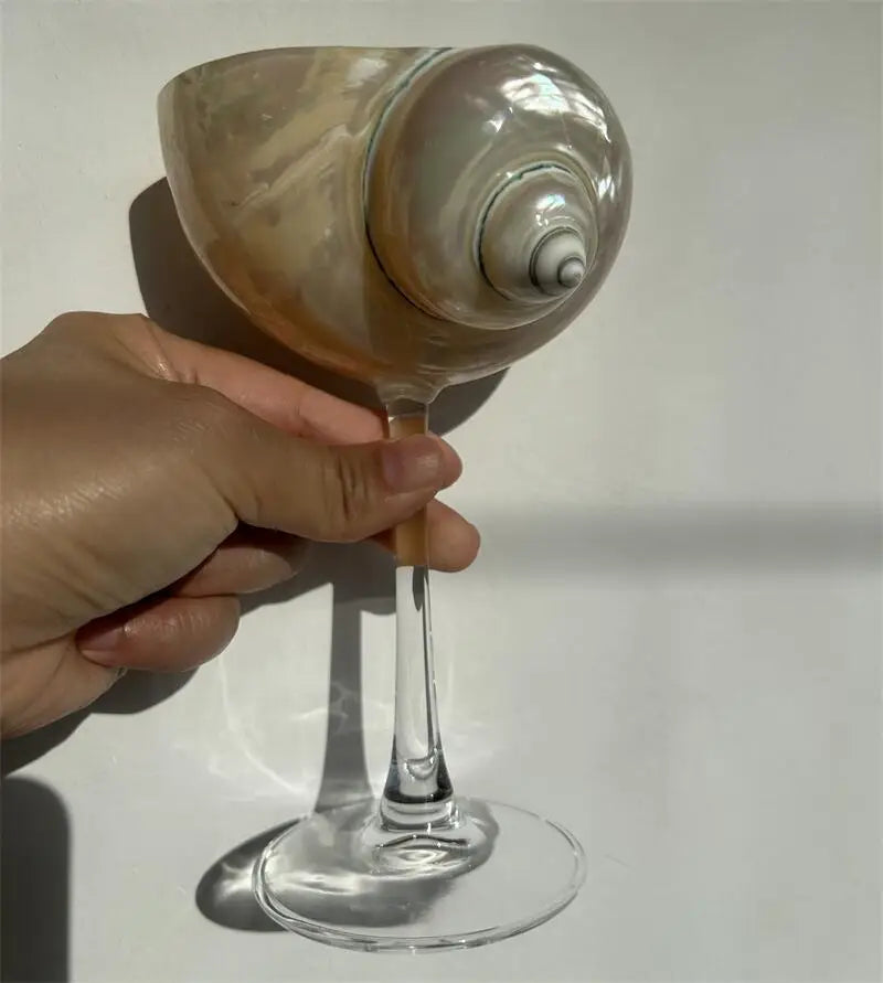 Shell Wine Glass