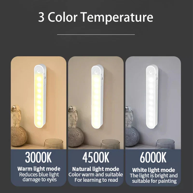 Compact LED Night Light Desk Lamp