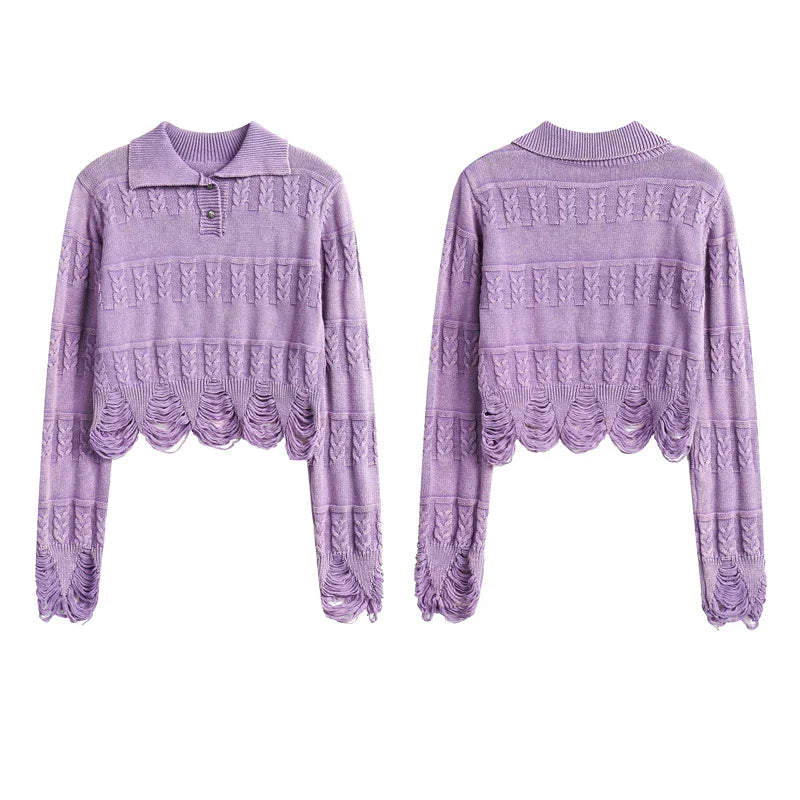 Knitted Ripped Cropped Sweater