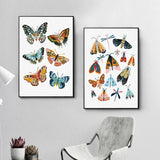 Butterfly Caterpillar Spring Posters
