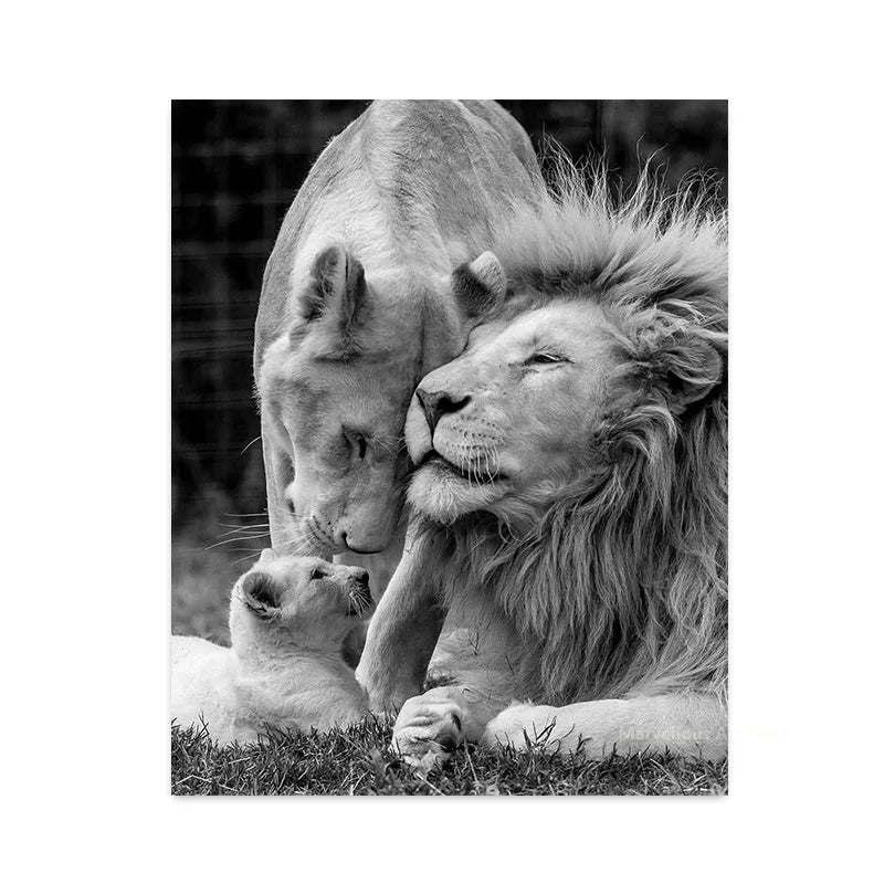 Black White Animals Baby Lion Family Poster