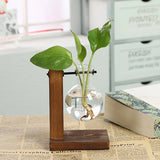 Vintage Transparent Vase Wooden Frame Vase