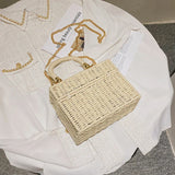 Summer Box Straw Handbag