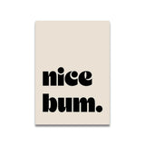 Vintage Pink Canvas Poster