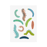 Butterfly Caterpillar Spring Posters