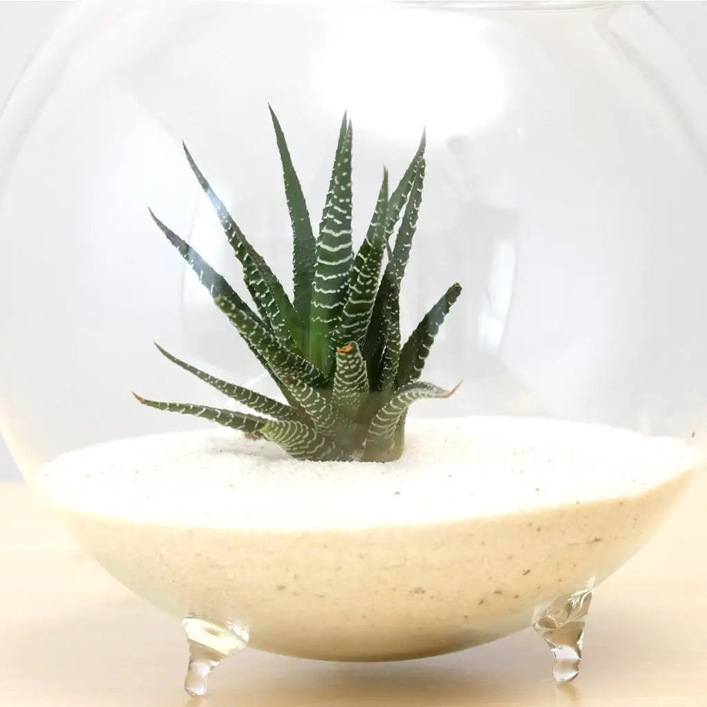 Ball Shaped Glass Flower Vintage Vase