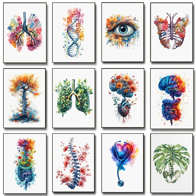 Anatomy Of Human Organs Posters