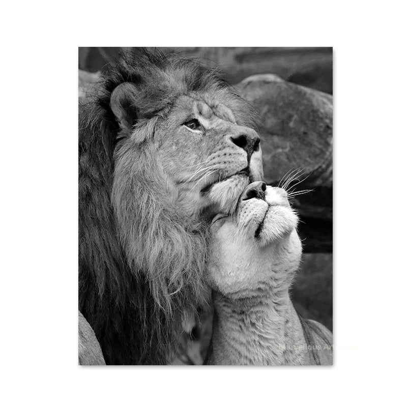 Black White Animals Baby Lion Family Poster