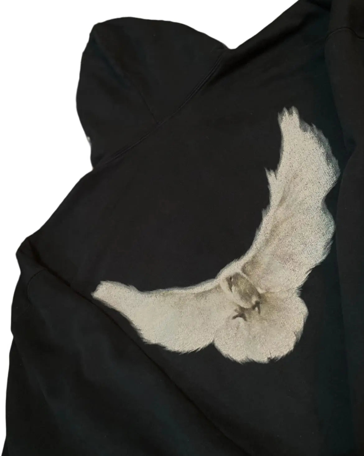 Retro Pigeon Graphic Print Hoodie