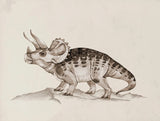 Vintage Dinosaur Chart Posters