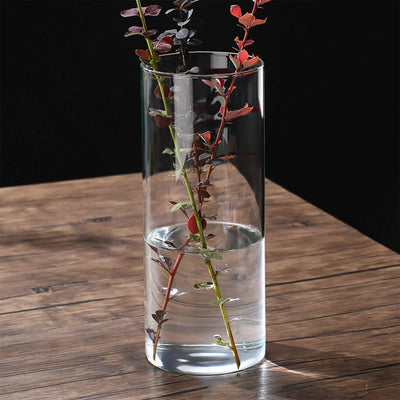 Vintage Minimalistische Glasvase Zylinder Blume
