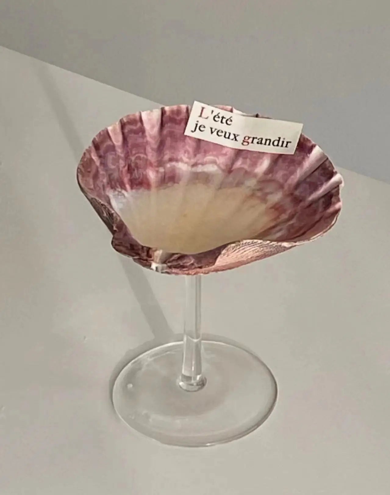 Shell Wine Glass
