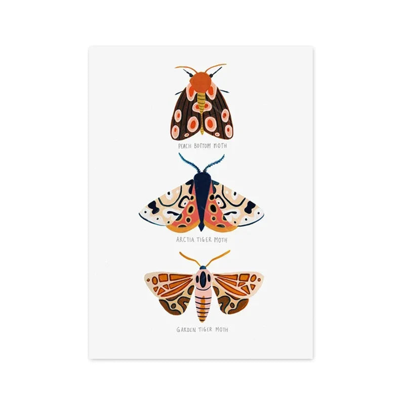 Butterfly Caterpillar Spring Posters