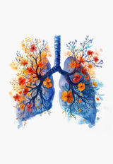 Anatomy Of Human Organs Posters