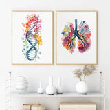 Anatomy Of Human Organs Posters