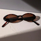Y2K Retro Oval Sunglasses