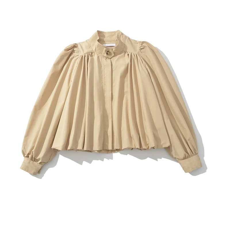 Elegant Style Pleated Shirt For Women