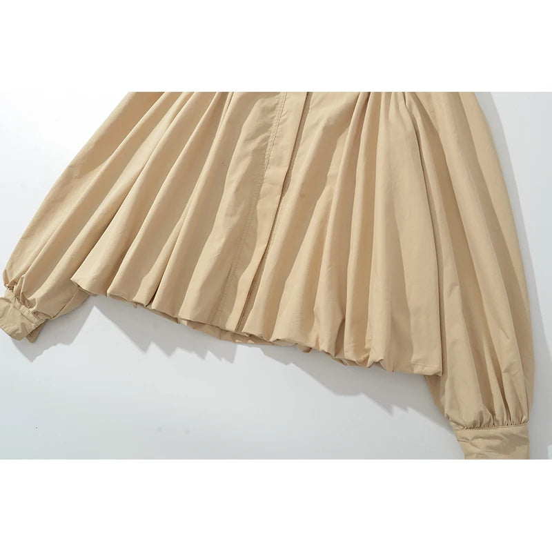 Elegant Style Pleated Shirt For Women