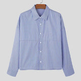 Striped Lapel Long Sleeve Shirt