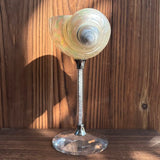 Shell Wine Glass