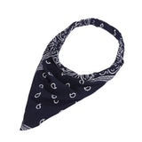 Summer Concert Paisley Elastic Headbands