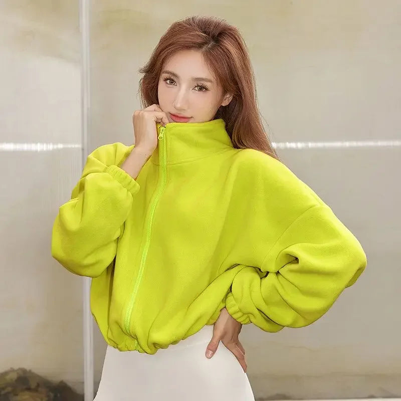 Stand Collar Crop Sweatshirt