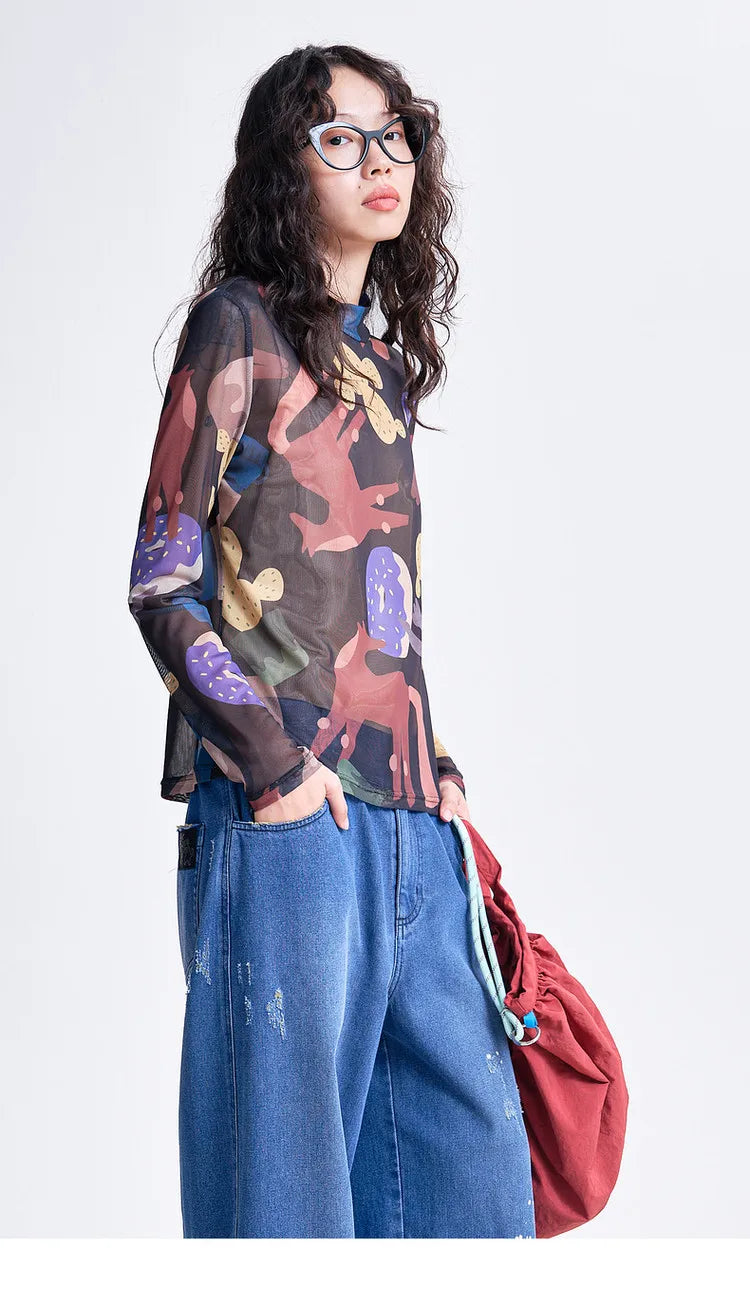 Indie Aesthetic Mesh Long Sleeve Top
