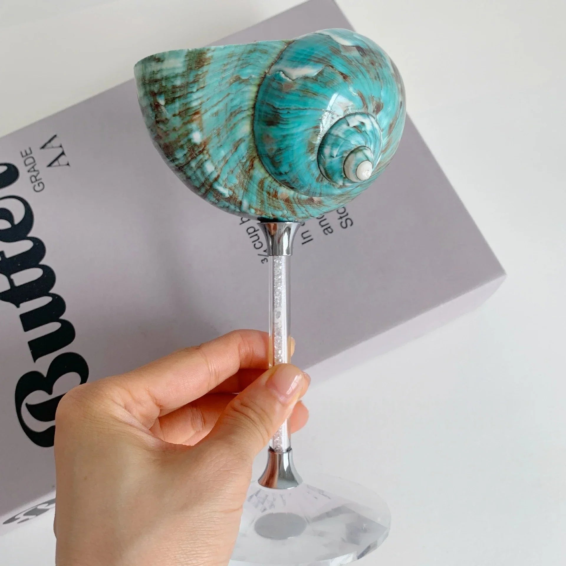 Shell Wine Glass