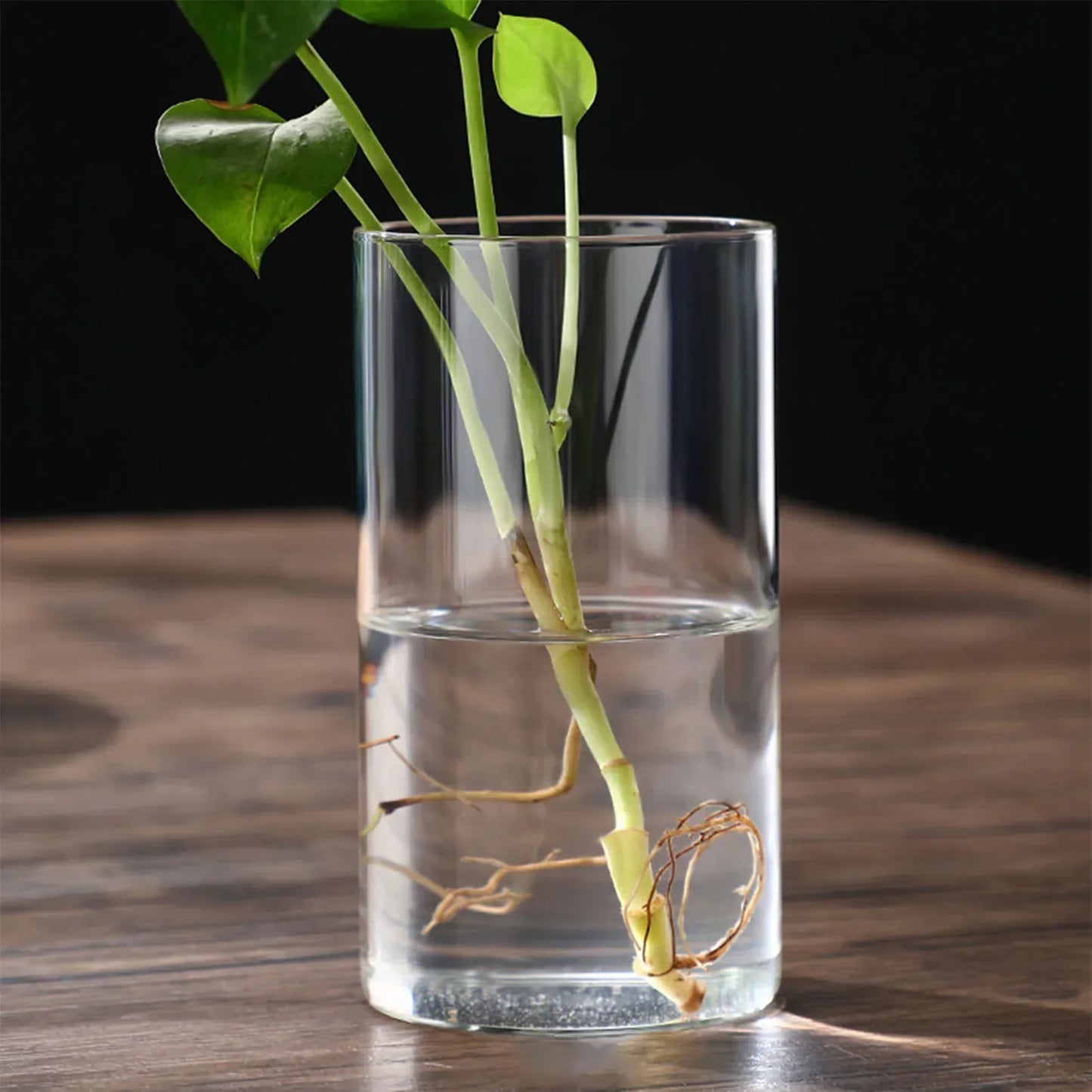 Vintage Minimalist Glass Vase Cylinder Flower