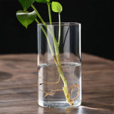 Vintage Minimalist Glass Vase Cylinder Flower