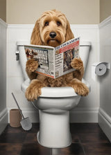 Dog Reading Newspaper Poster