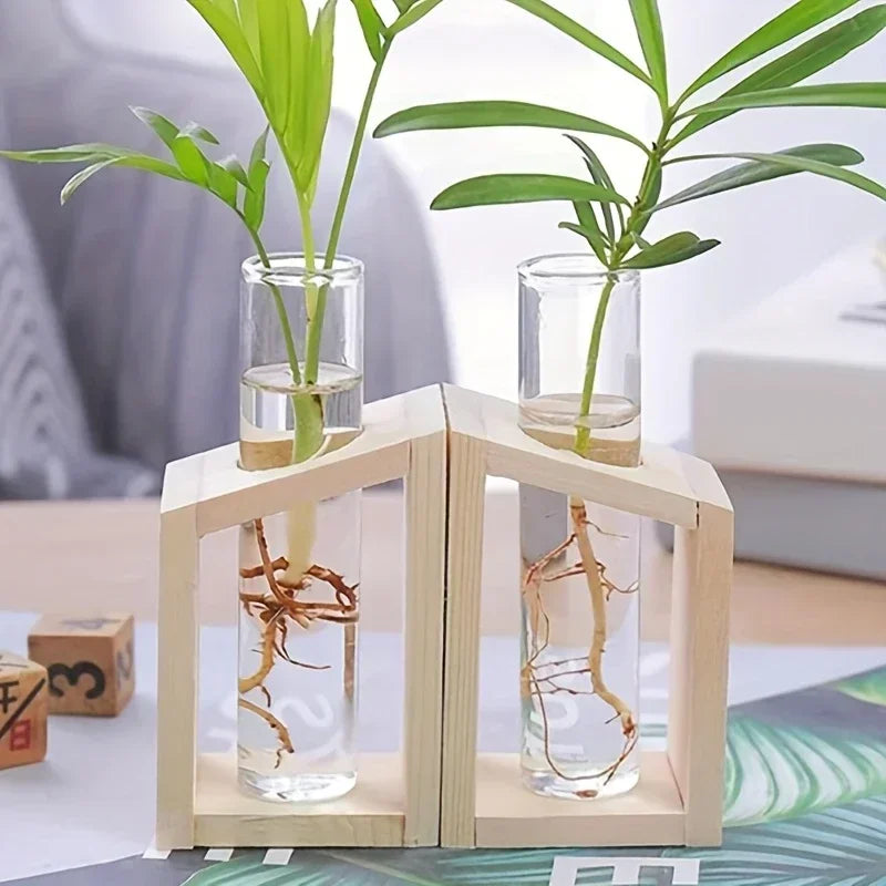 Test Tube Vintage Glass Vase Plant