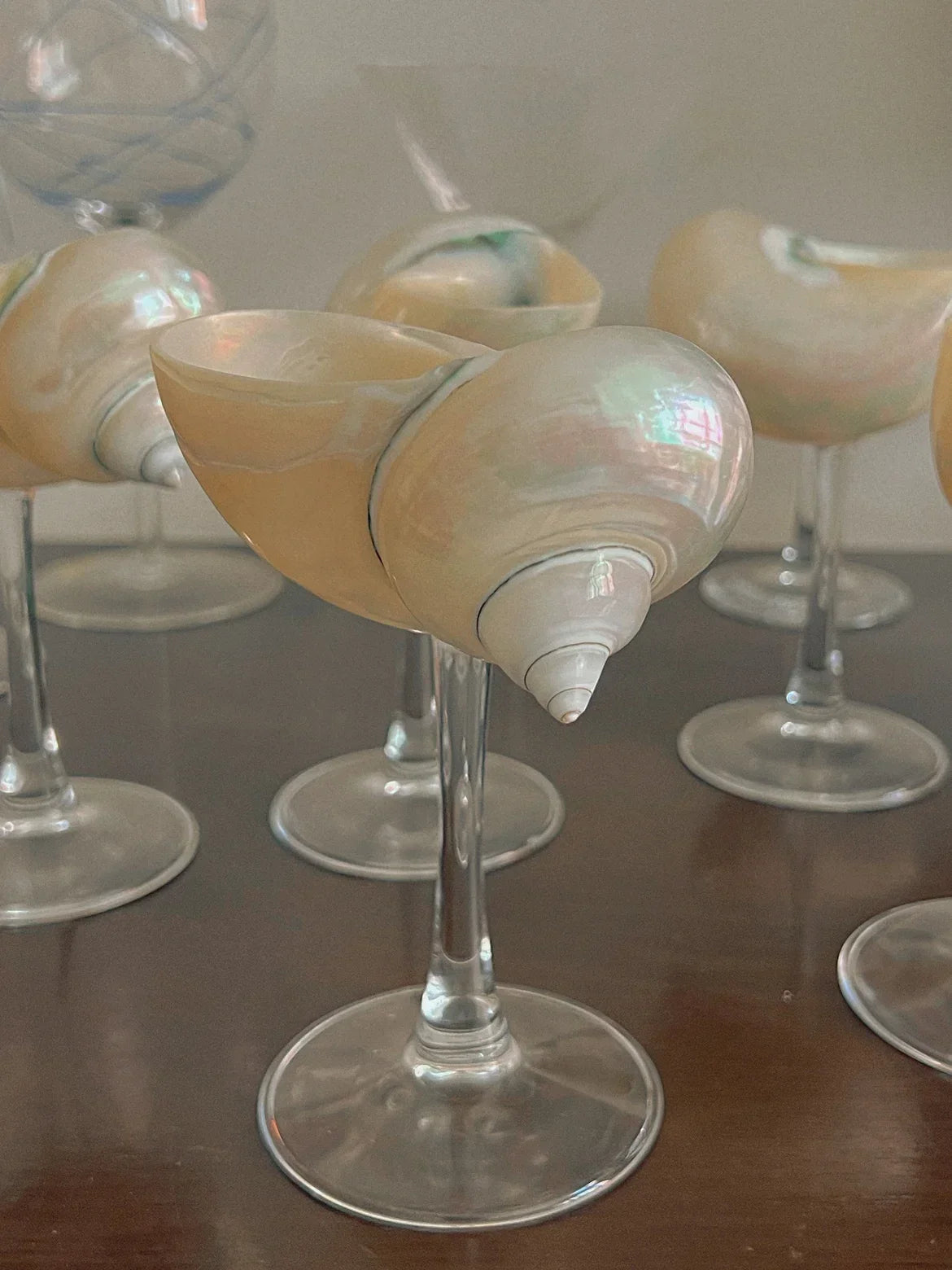 Shell Wine Glass
