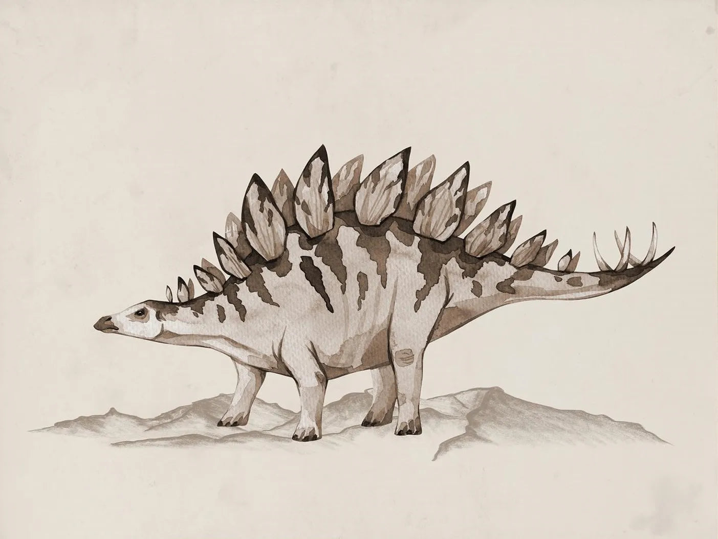 Vintage Dinosaur Chart Posters