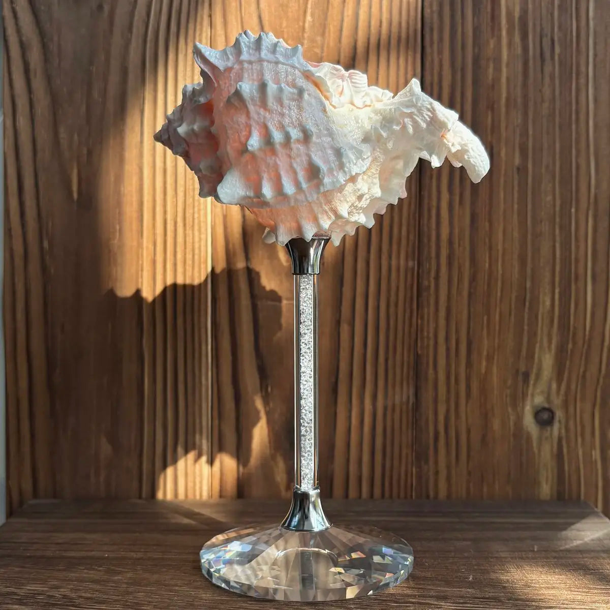 Shell Wine Glass