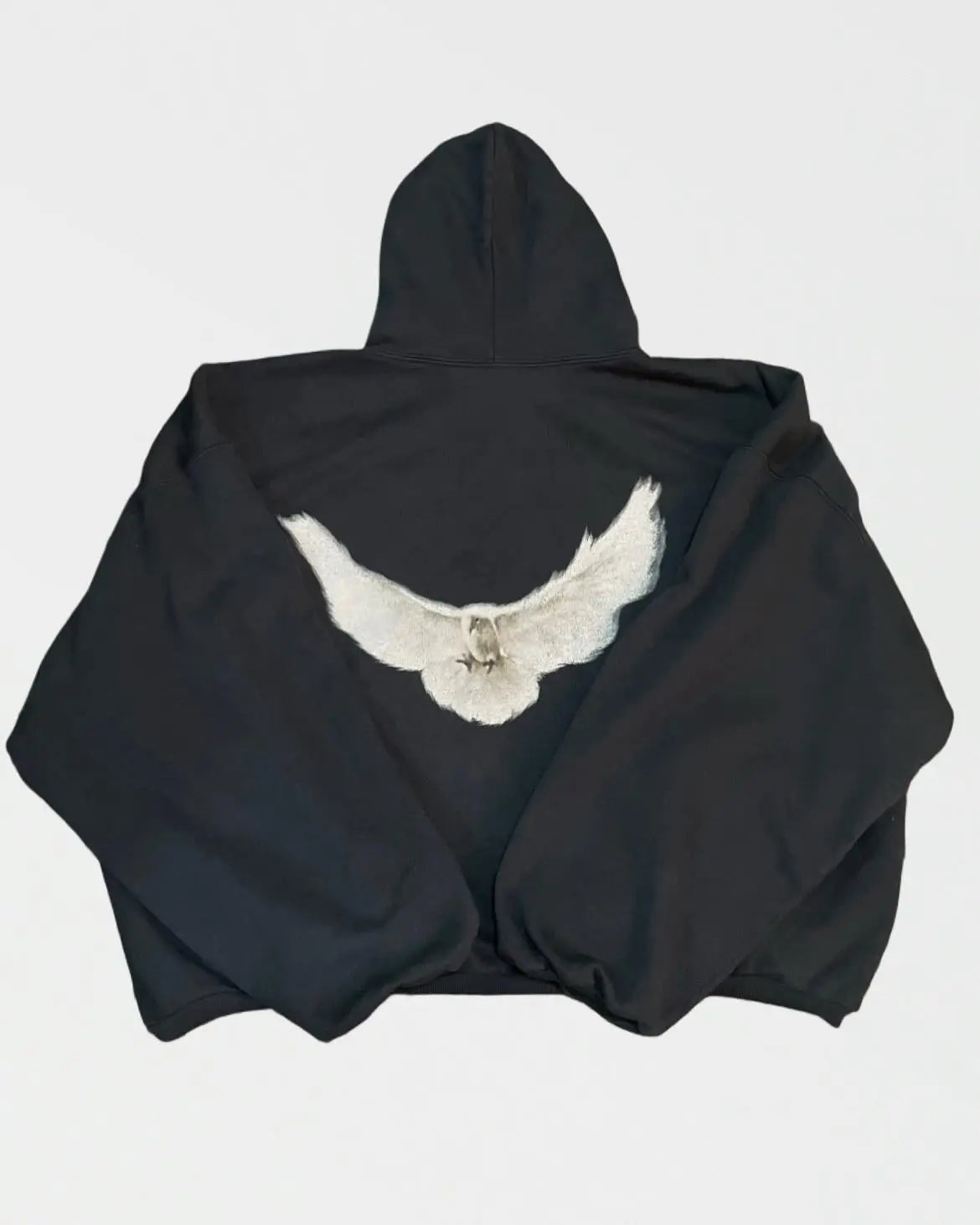 Retro Pigeon Graphic Print Hoodie