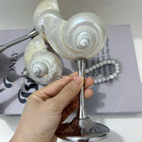 Shell Wine Glass