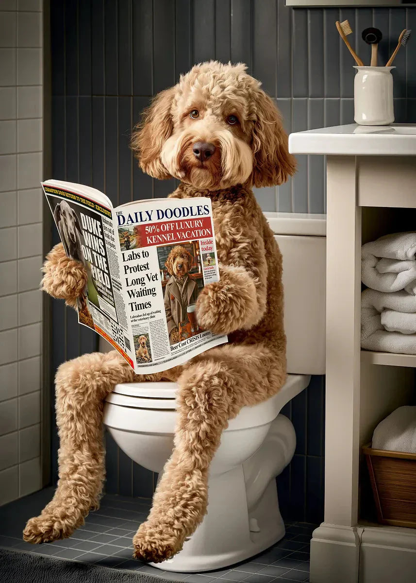 Dog Reading Newspaper Poster