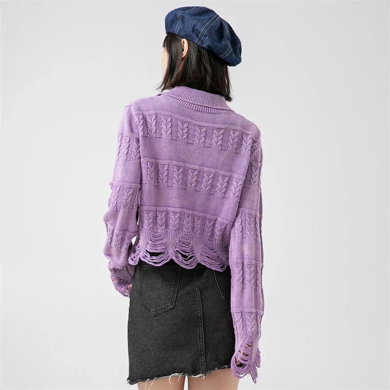 Knitted Ripped Cropped Sweater