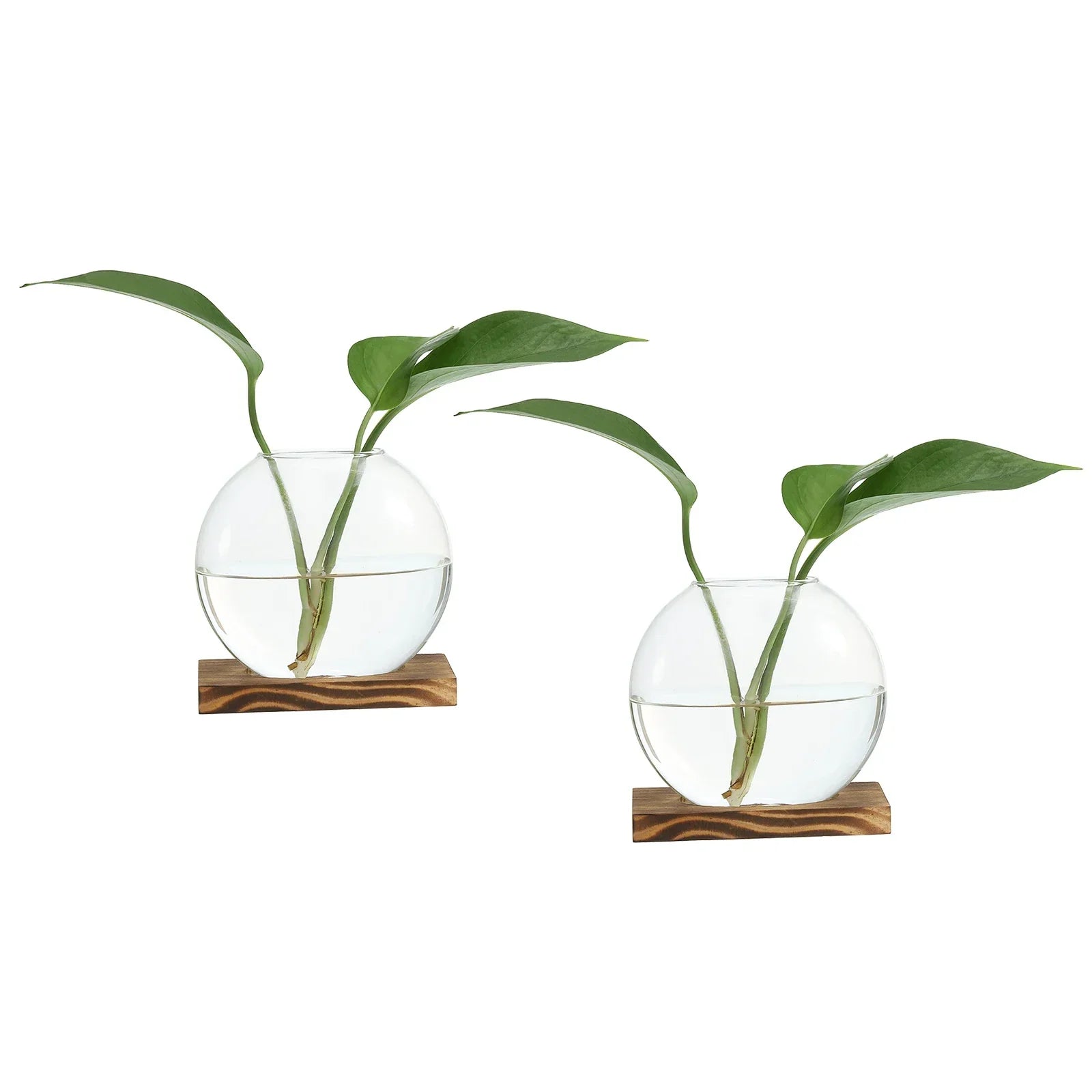 Vintage Glass Vase with Wooden Tray Bud
