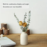 Set of 3 White Ceramic Vase