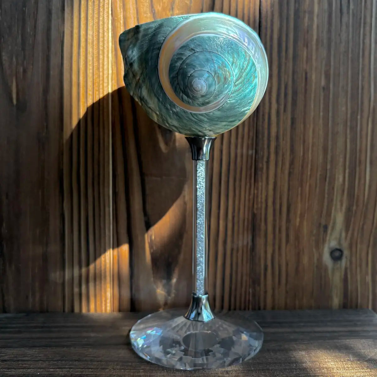 Shell Wine Glass