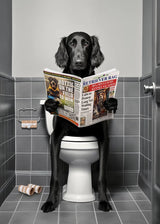 Dog Reading Newspaper Poster