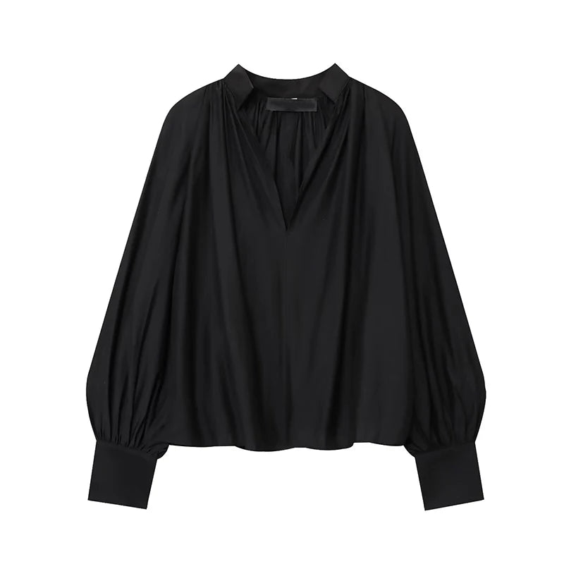 Black Red V Neck Lantern Sleeve Vintage Blouse