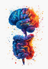 Anatomy Of Human Organs Posters