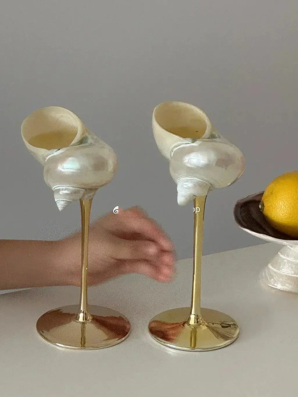 Shell Wine Glass